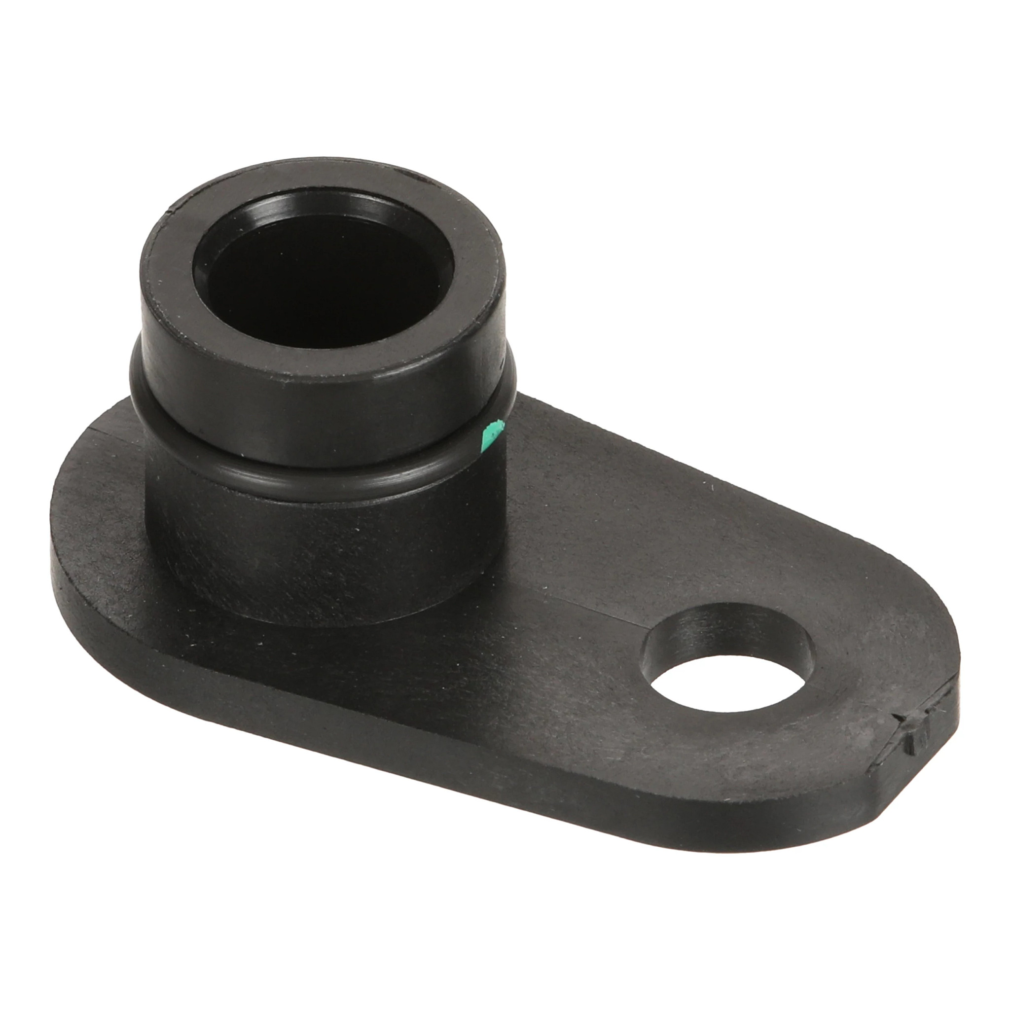 BUJÃO | CASECE | SA | EN