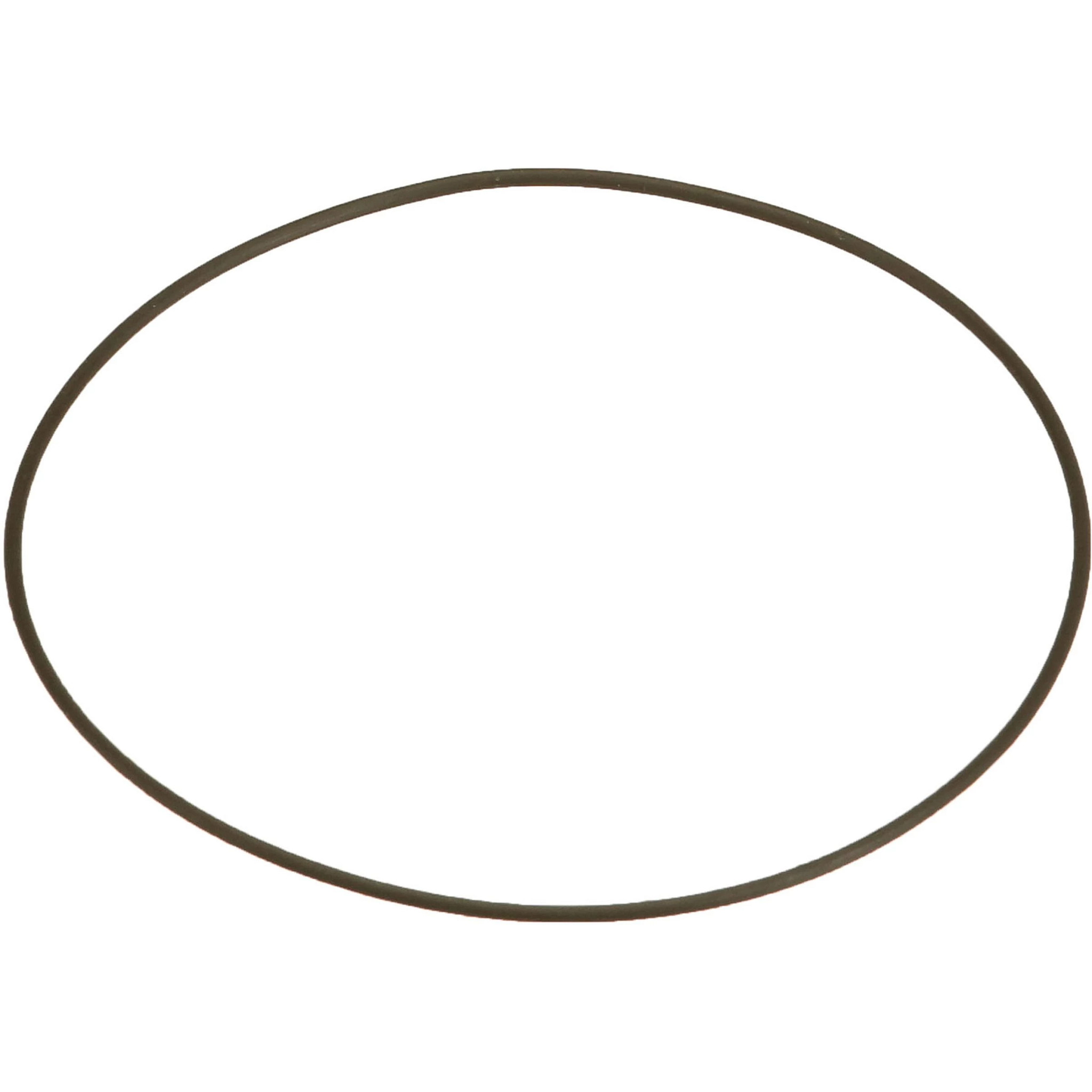 O-RING | CASEIH | CA | EN