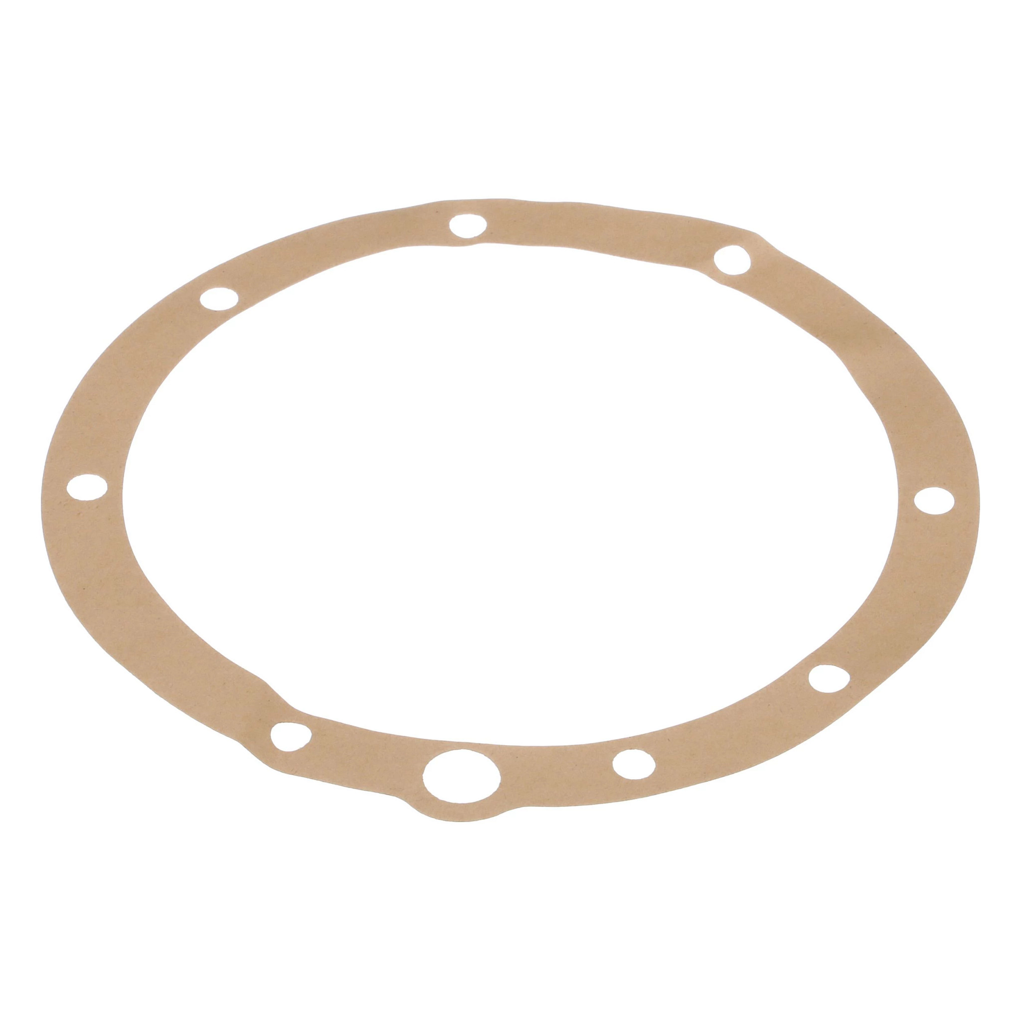 Engine Gasket