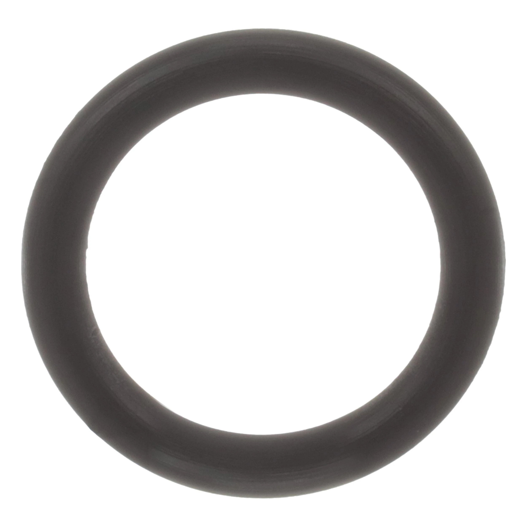 Hydraulic Motor O-Ring
