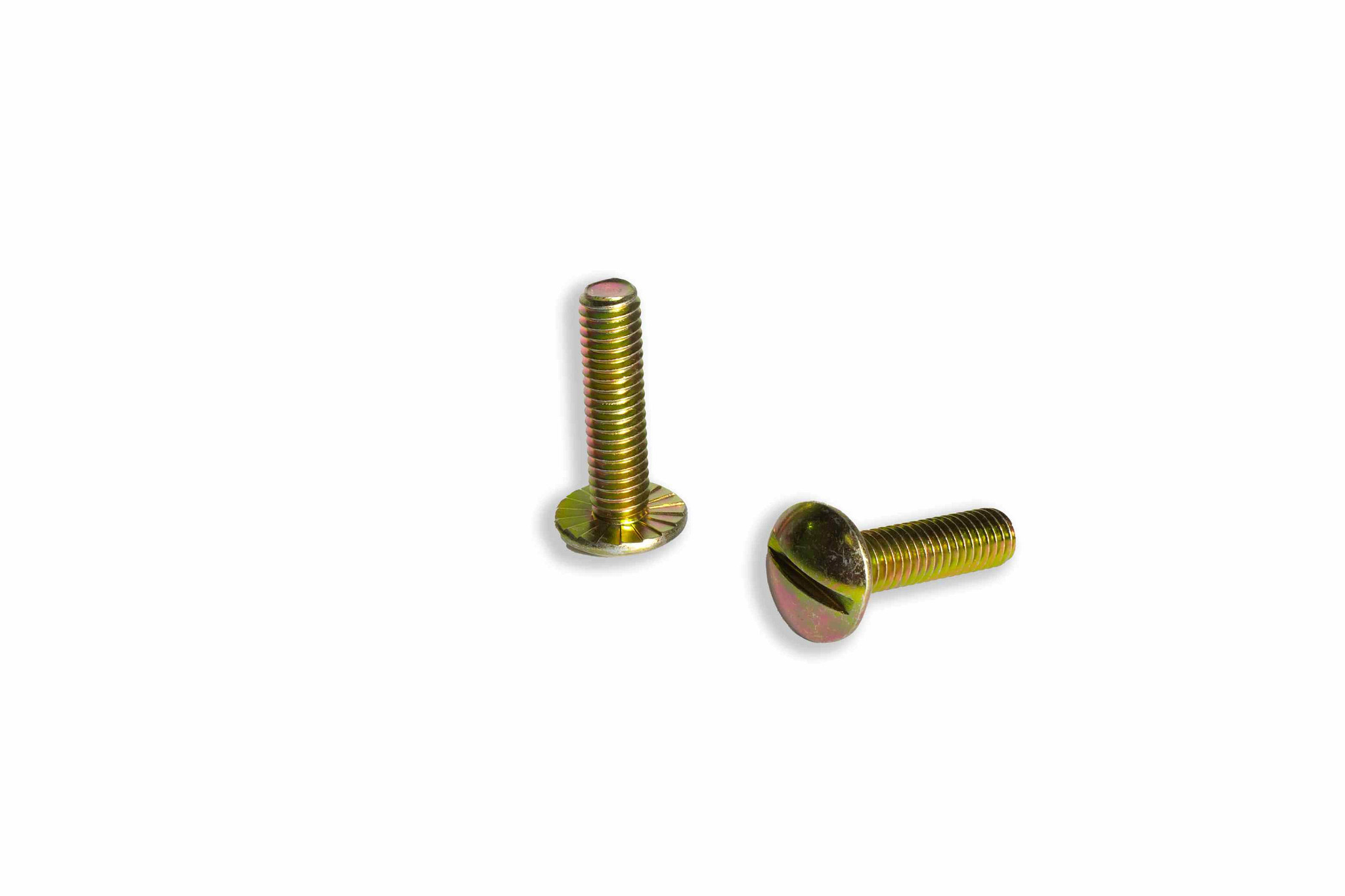 TORNILLO DENTADO | CASECE | EU | DE