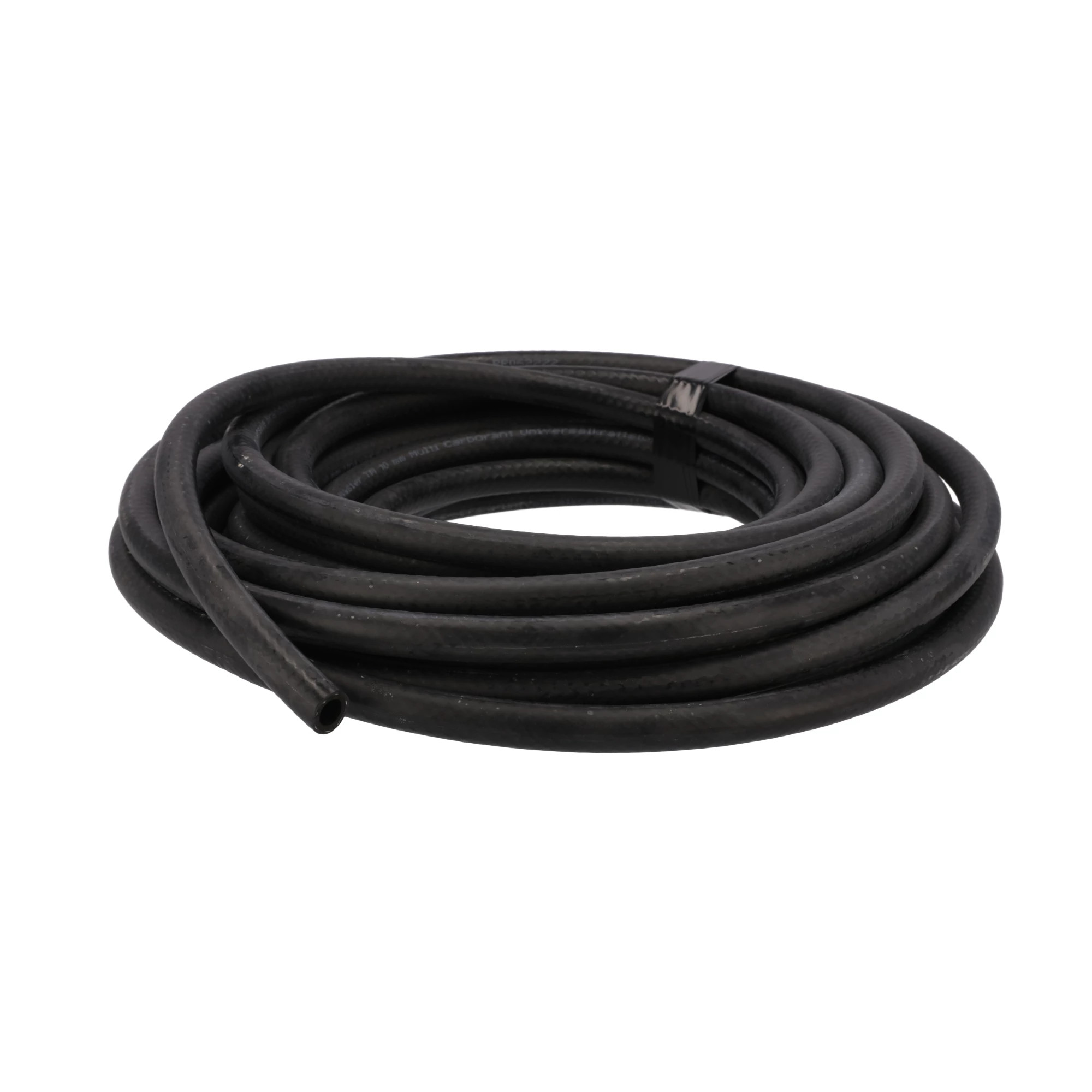 Mangueira | CASECE | BR | PT