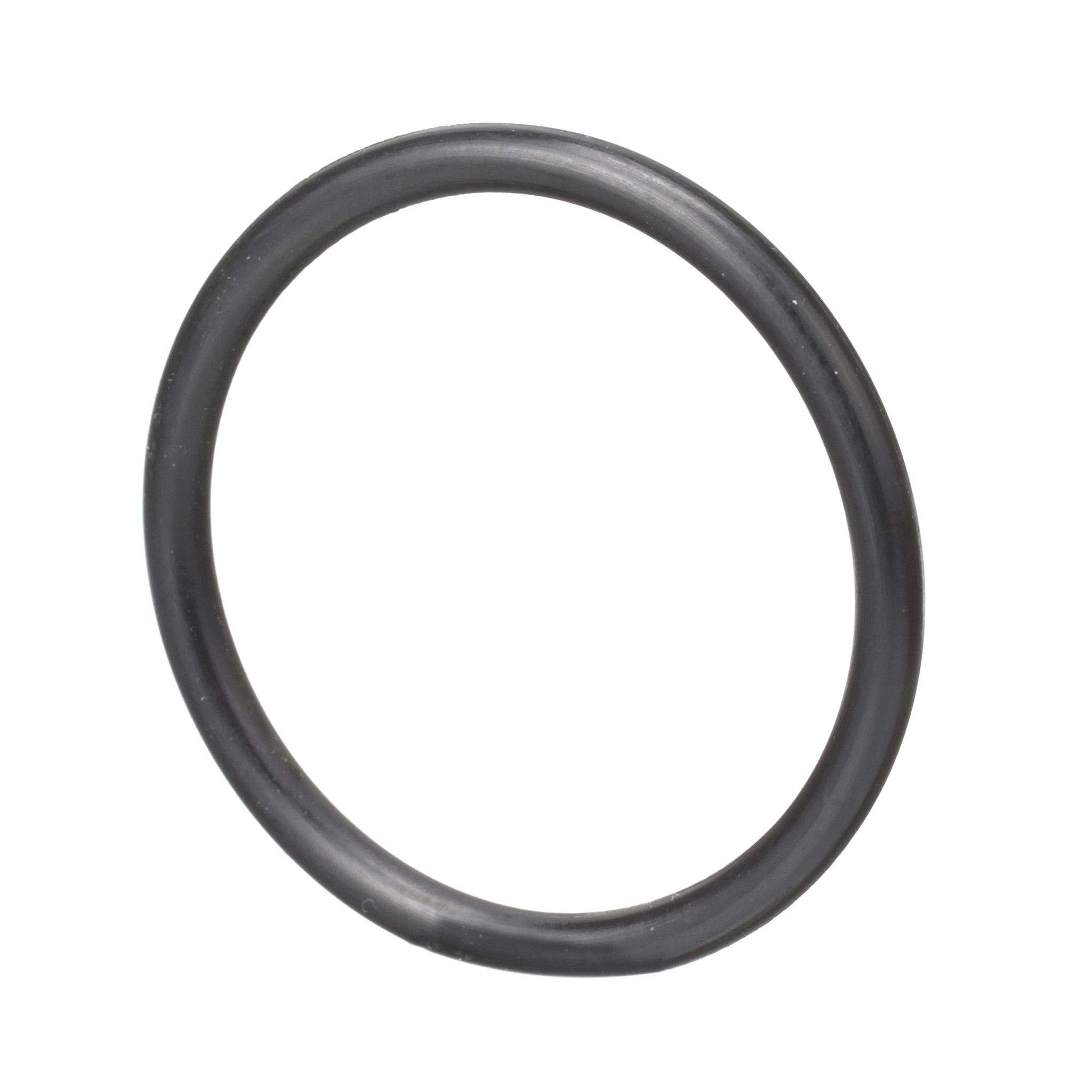 O-Ring | CASECE | BR | PT