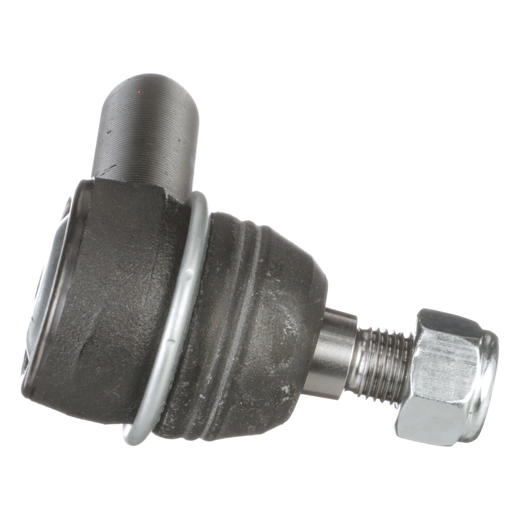 SPURSTANGENKOPF | NEWHOLLANDAG | DE | DE