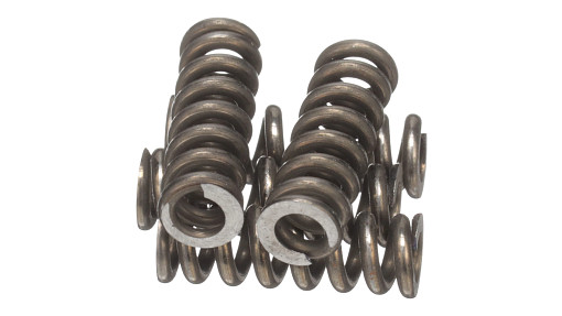 SPRING | CASECE | CA | EN