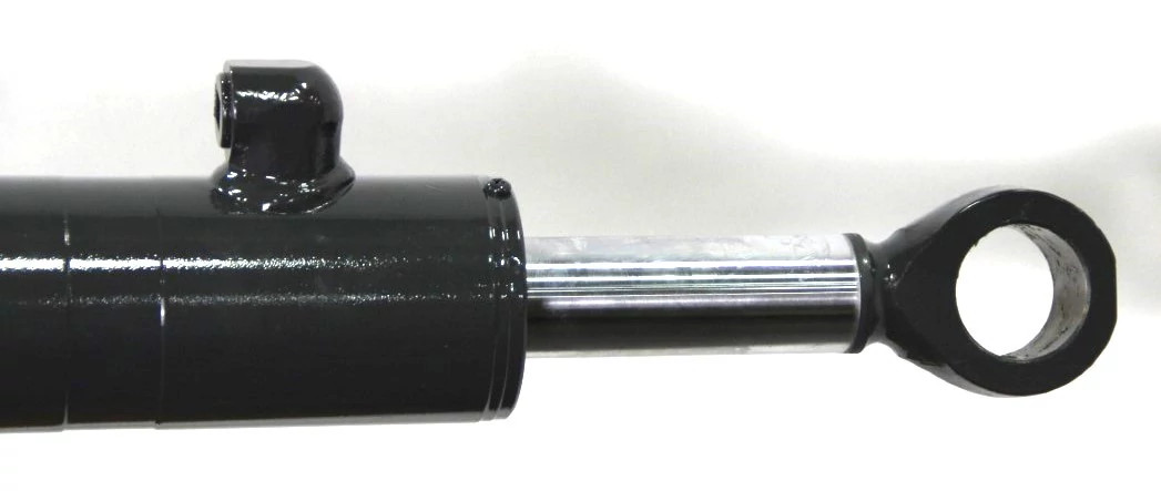 REMAN-HYD CYLINDER | CASEIH | IE | EN