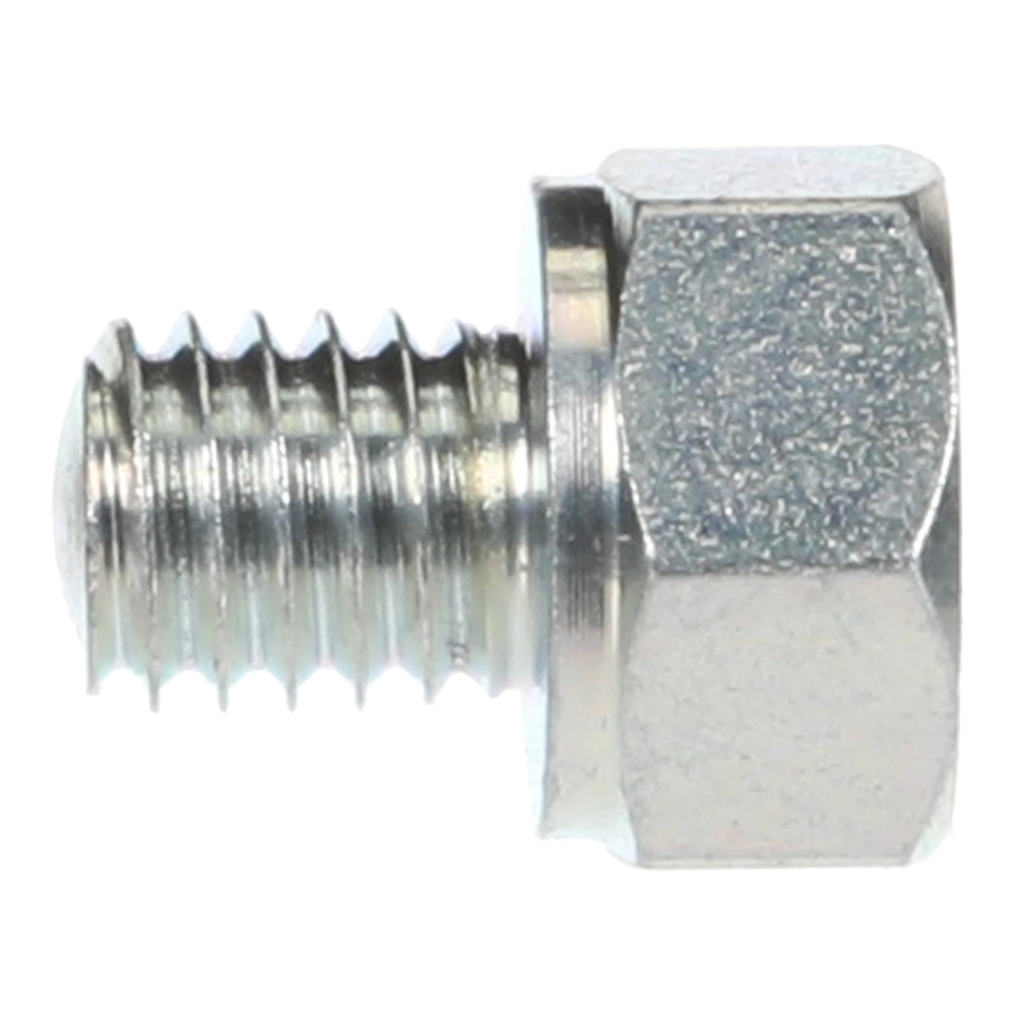 SCREW | CASECE | US | EN