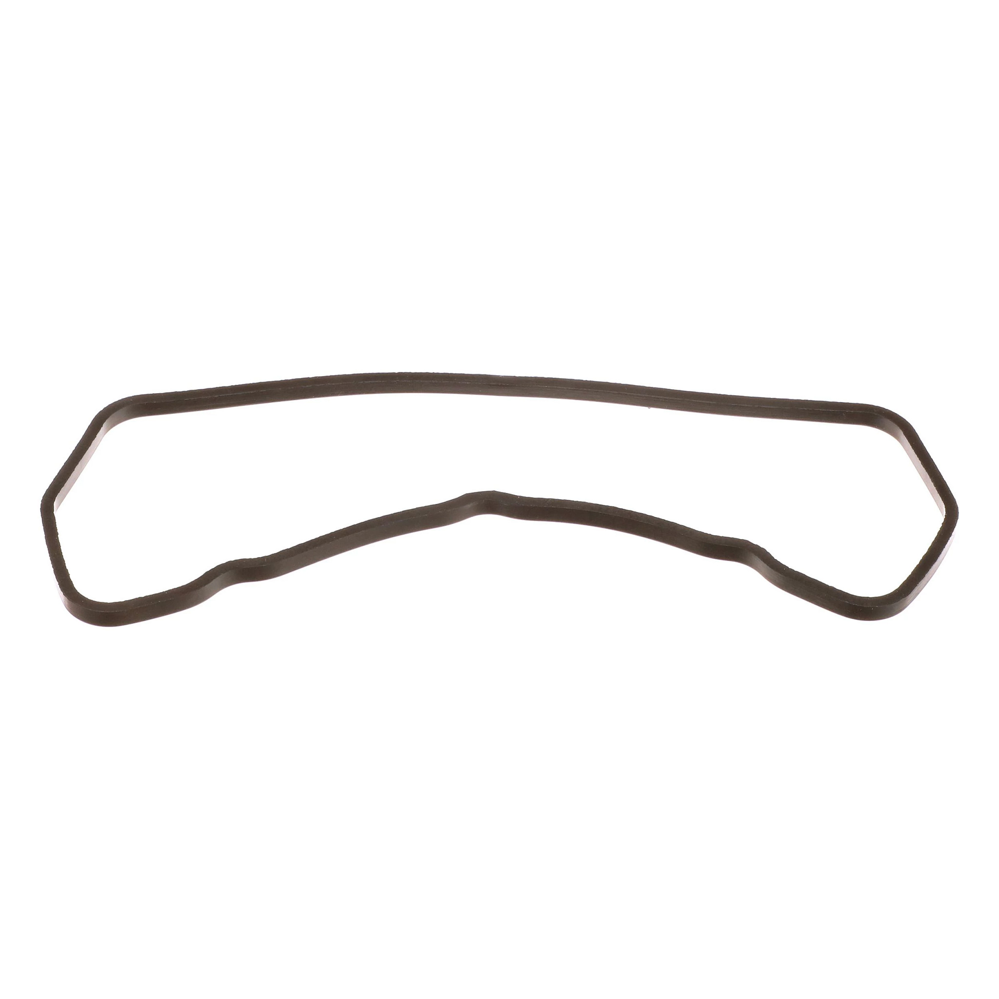 GASKET | CASEIH | US | EN