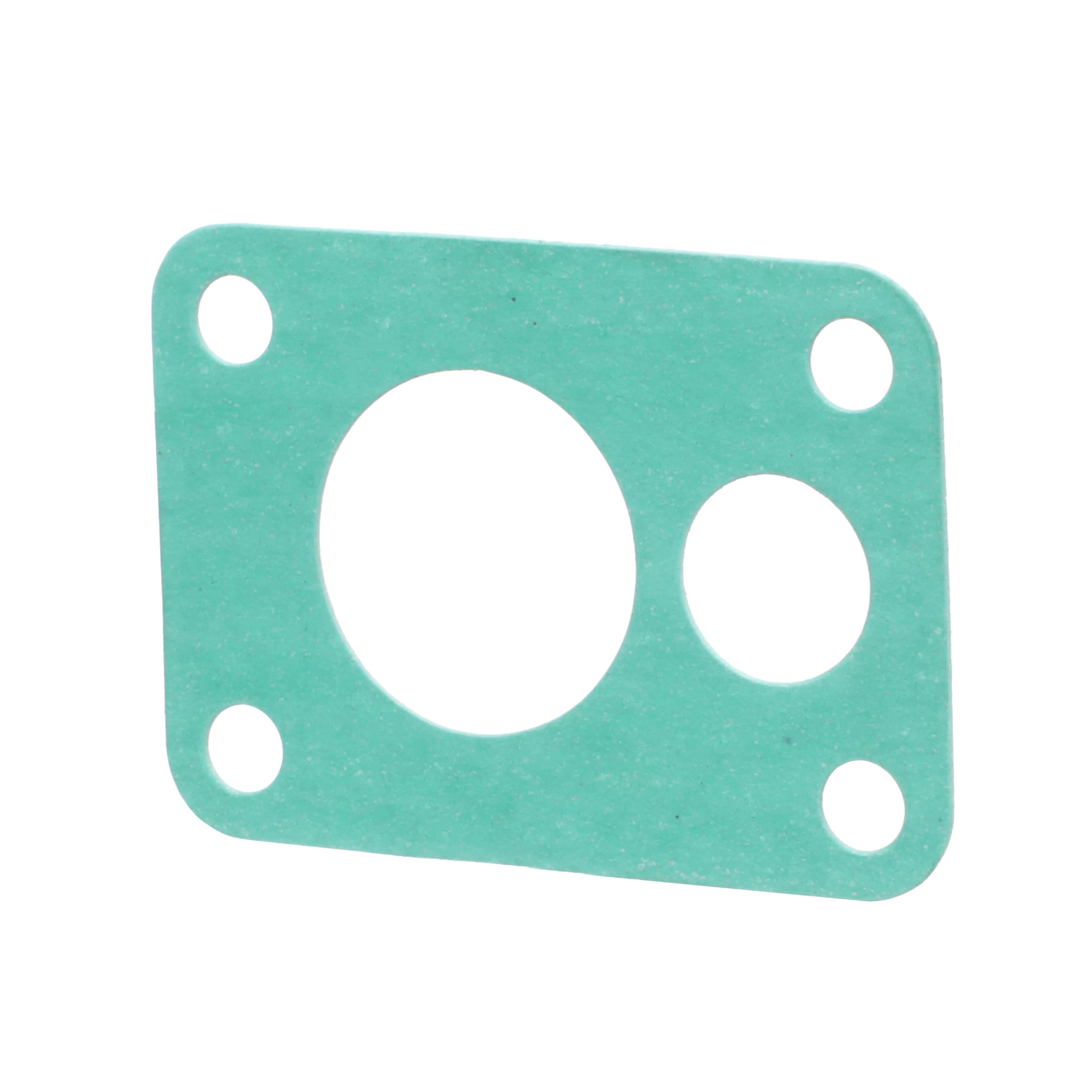 Gasket | CASECE | BR | PT