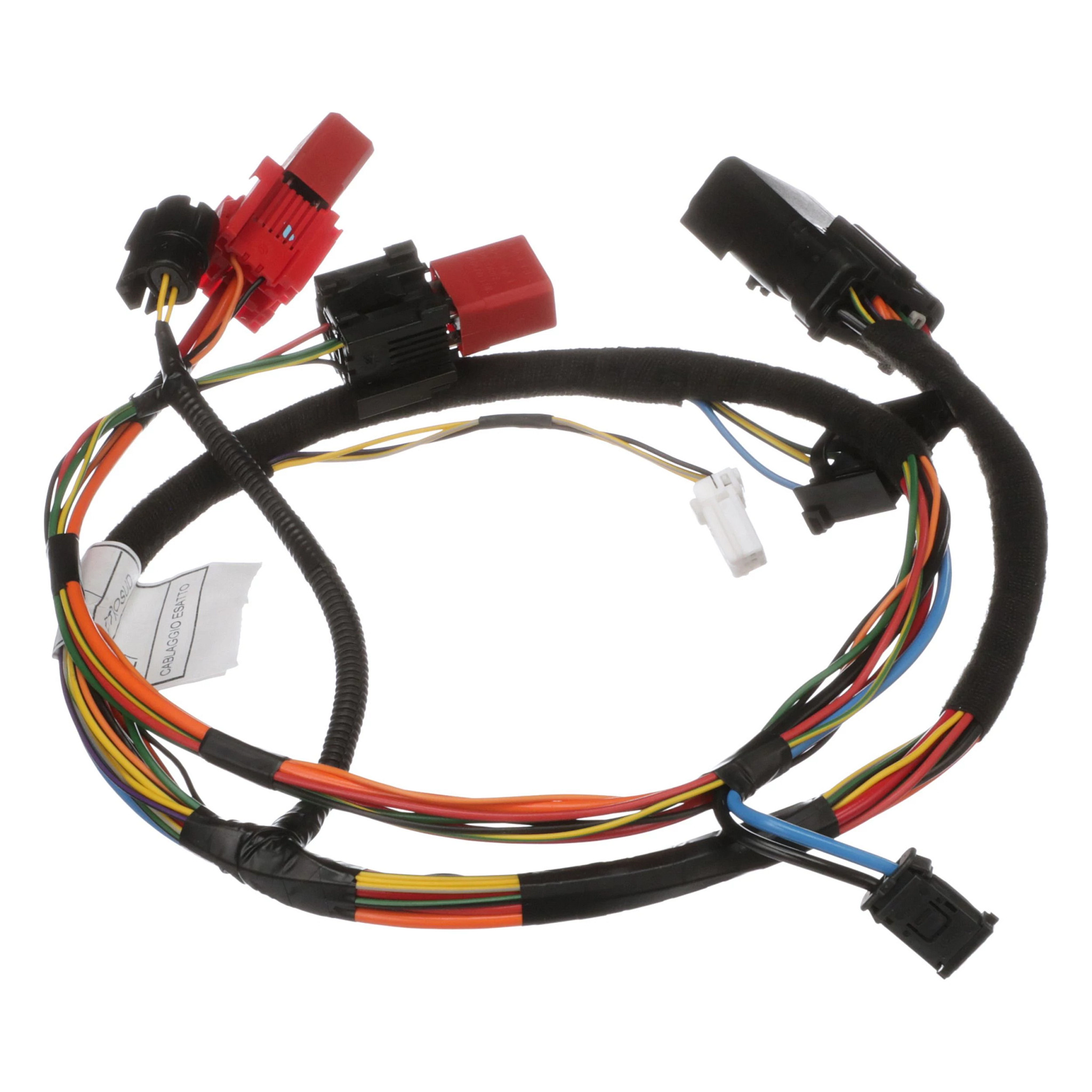 CHICOTE | CASECE | EU | PT