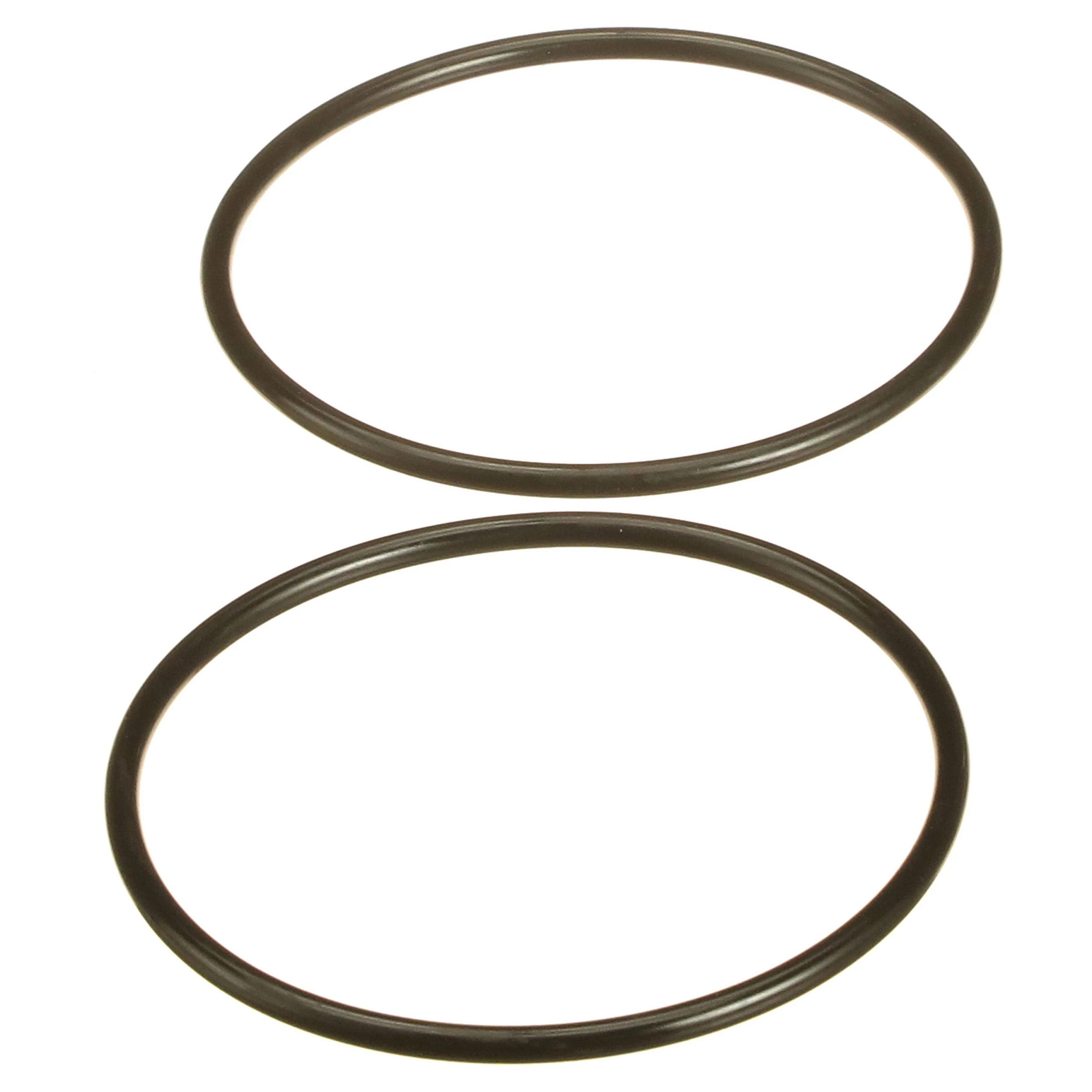 JOINT TORIQUE | CASECE | AMEA | EN