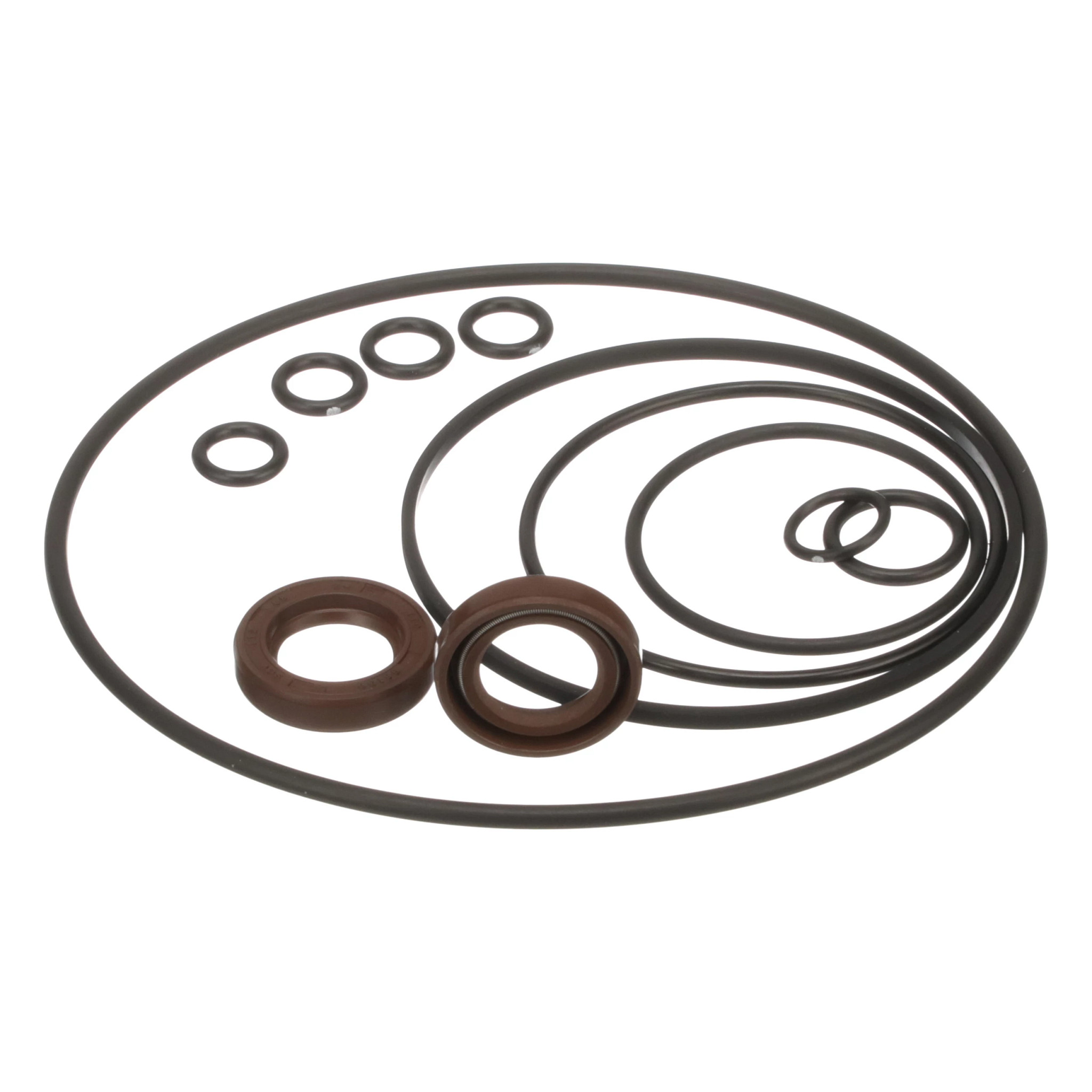 SEAL KIT | CASEIH | CA | EN