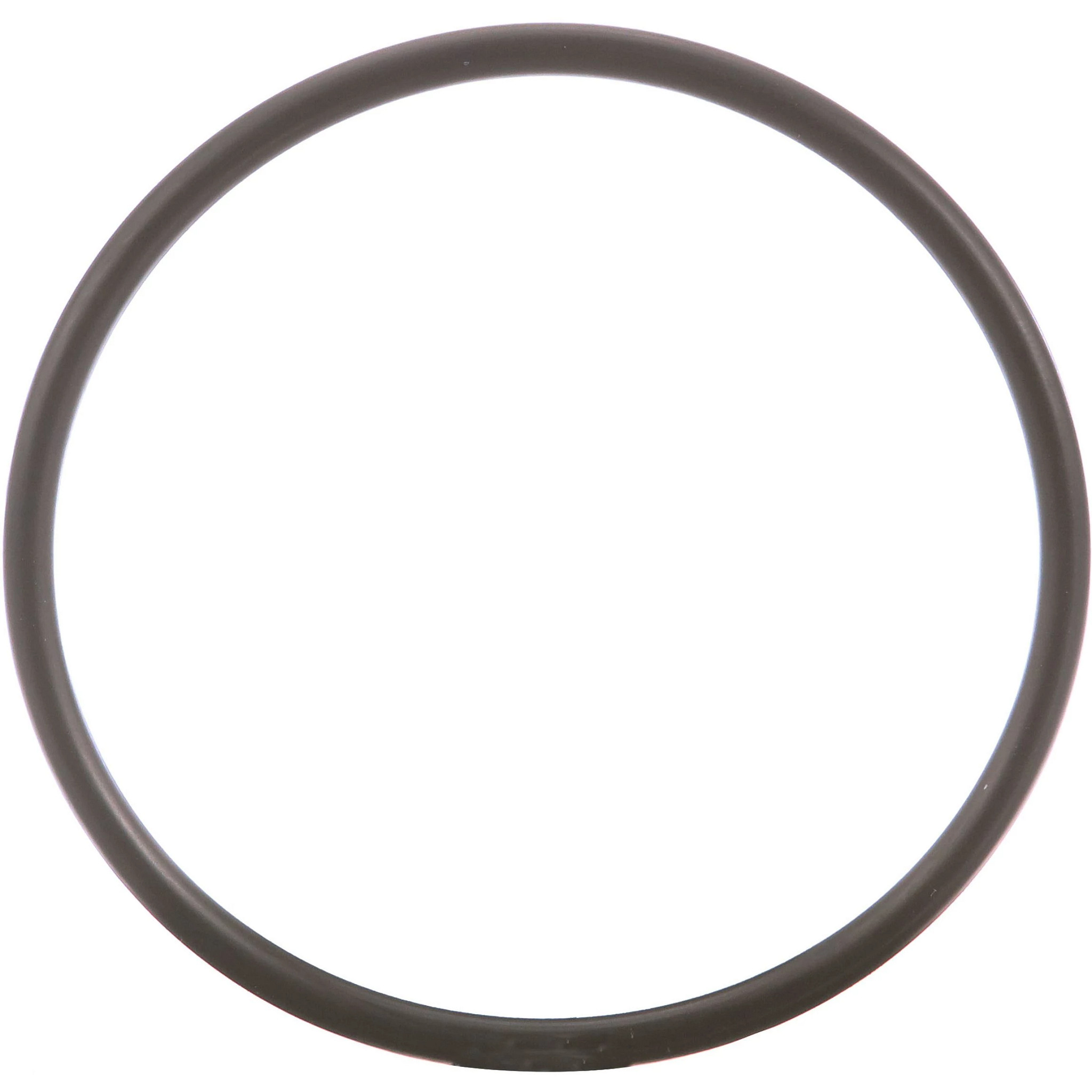 JOINT TORIQUE | CASECE | AMEA | EN