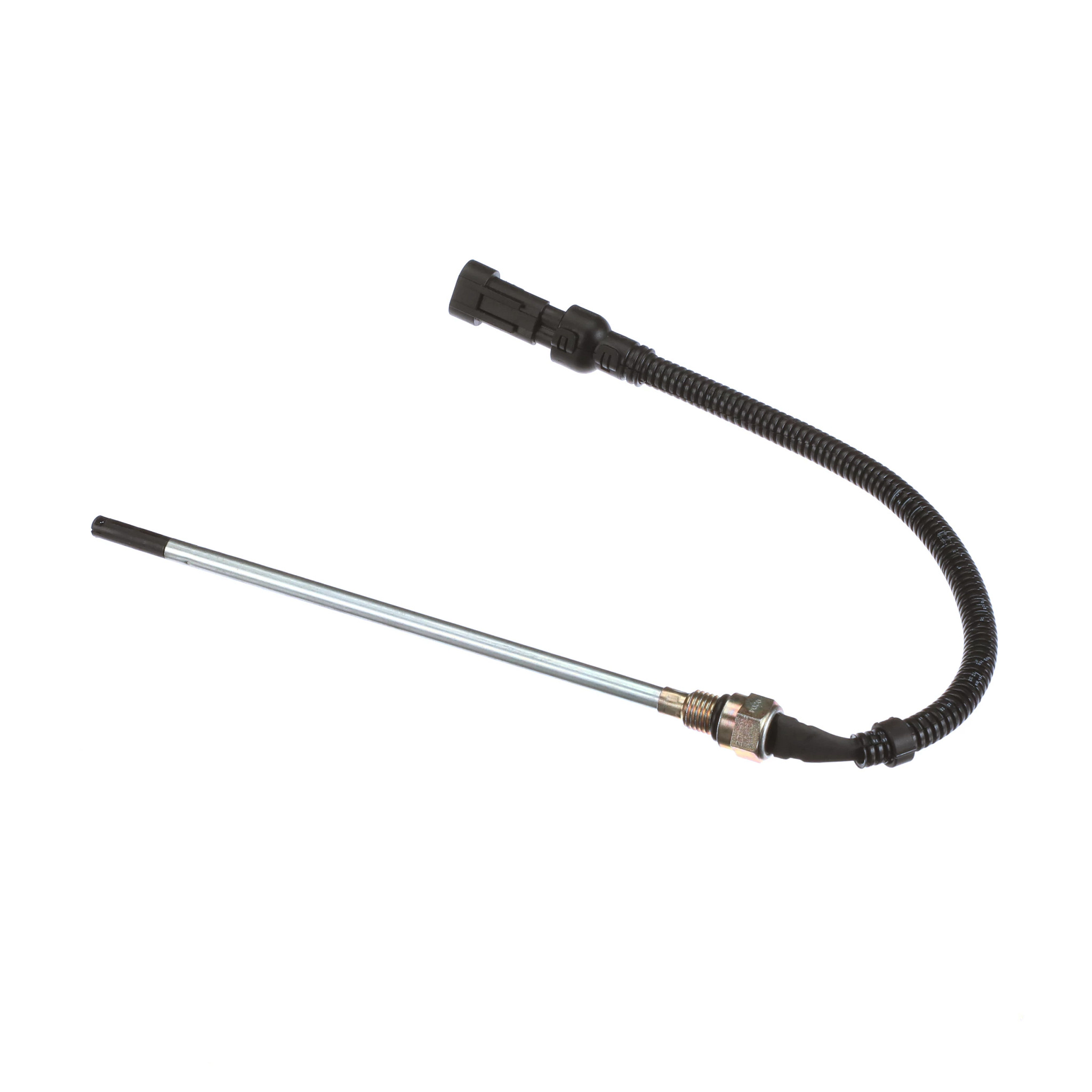Sonda | CASECE | BR | PT