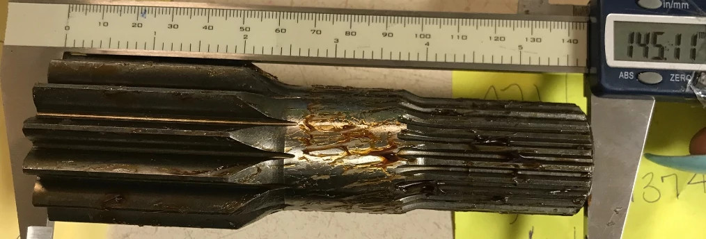 Arbre | CASECE | CA | FR