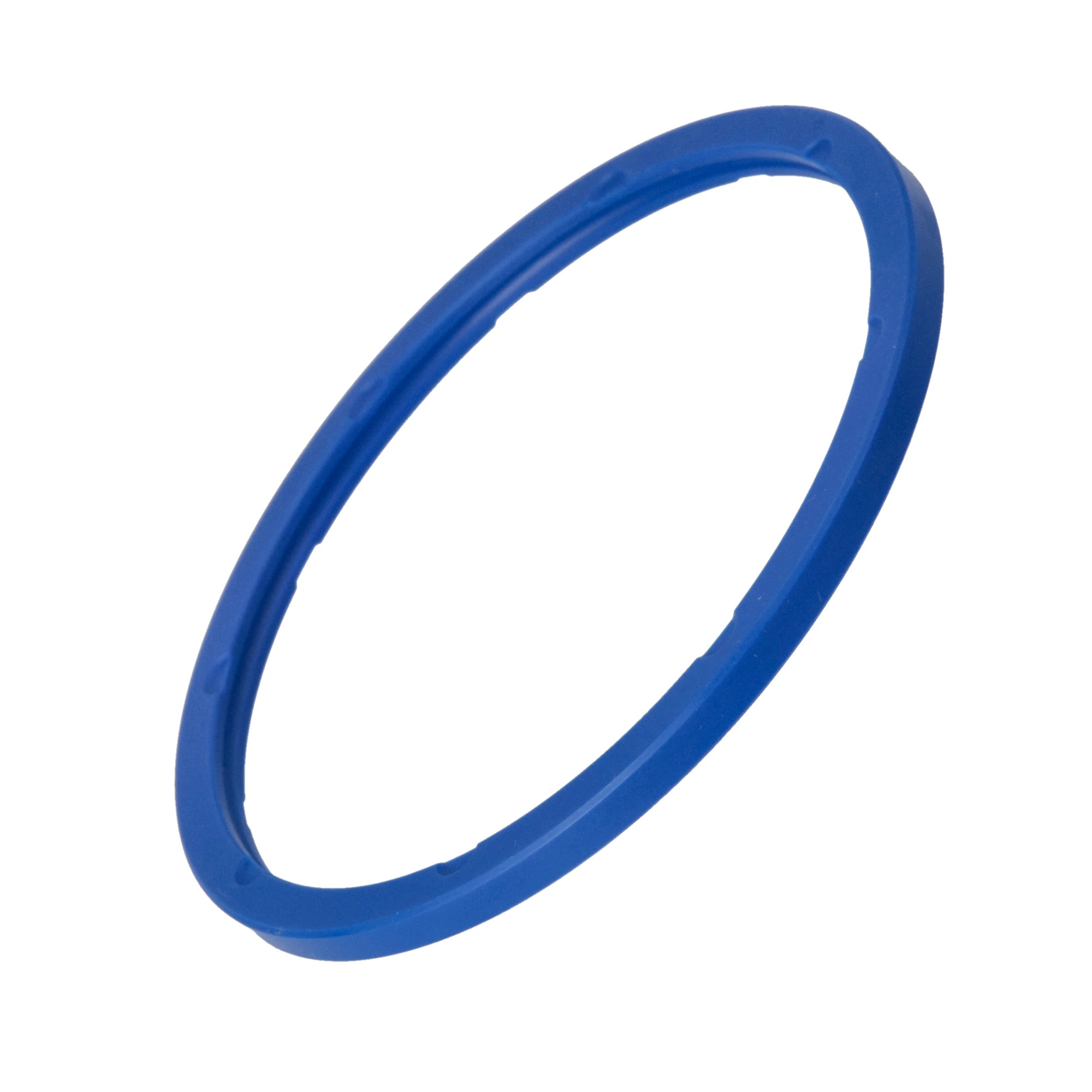 Sealing Ring | CASECE | CA | EN