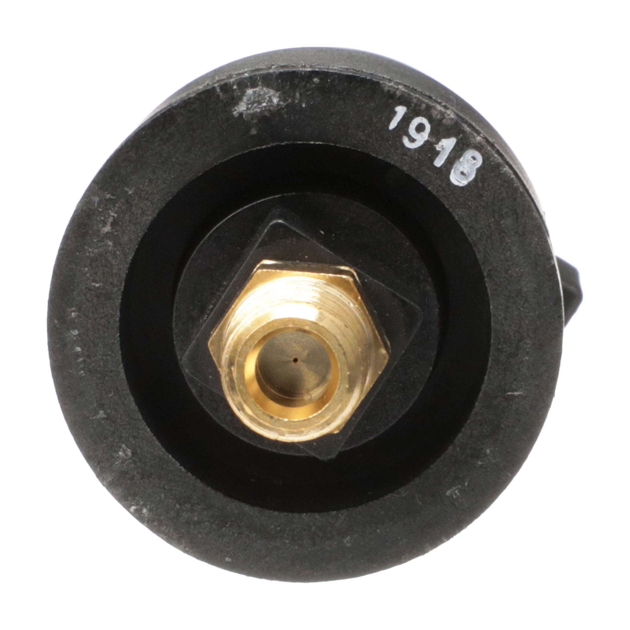 RESTRICTION SWITCH | CASEIH | AU | EN