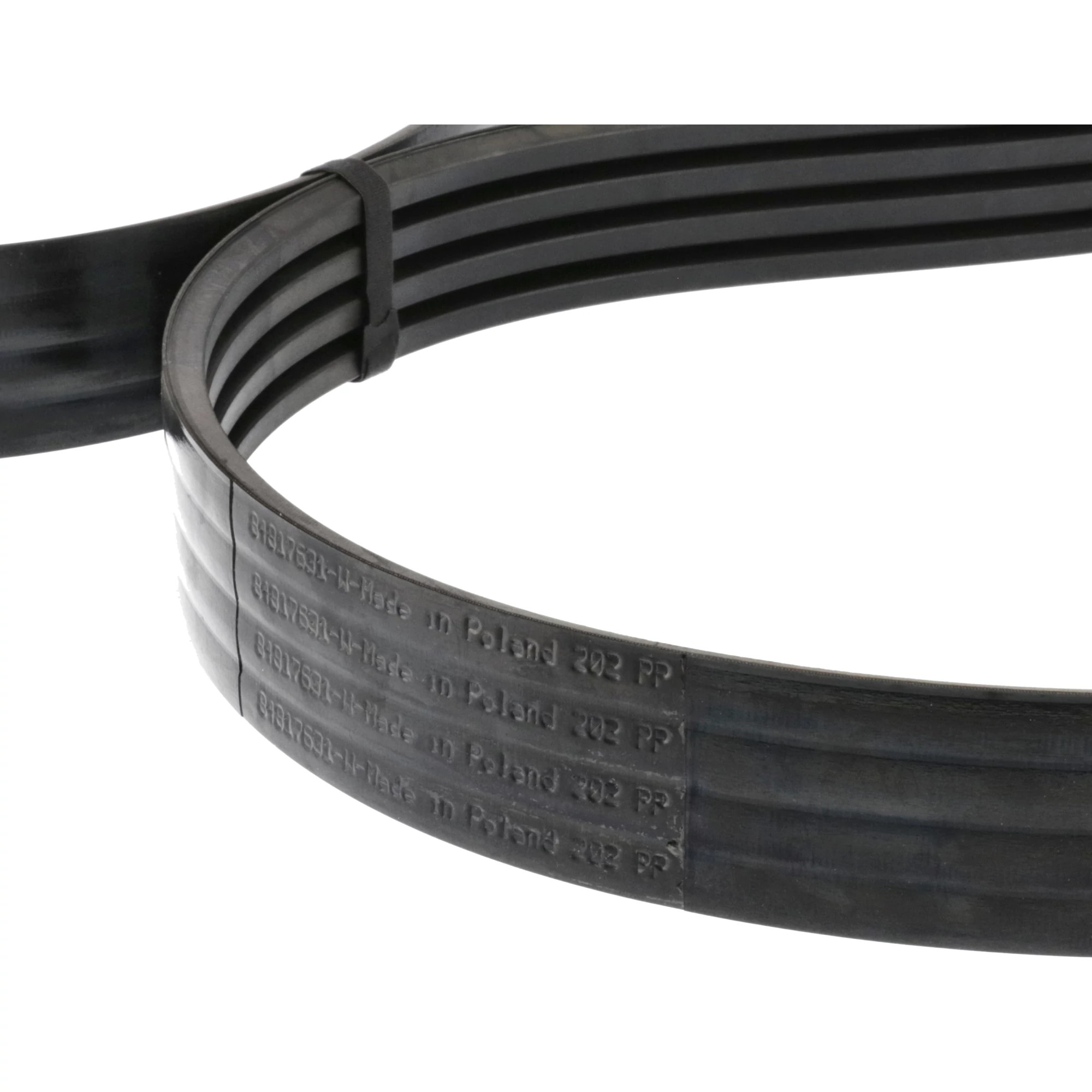 BELT | CASECE | AMEA | EN