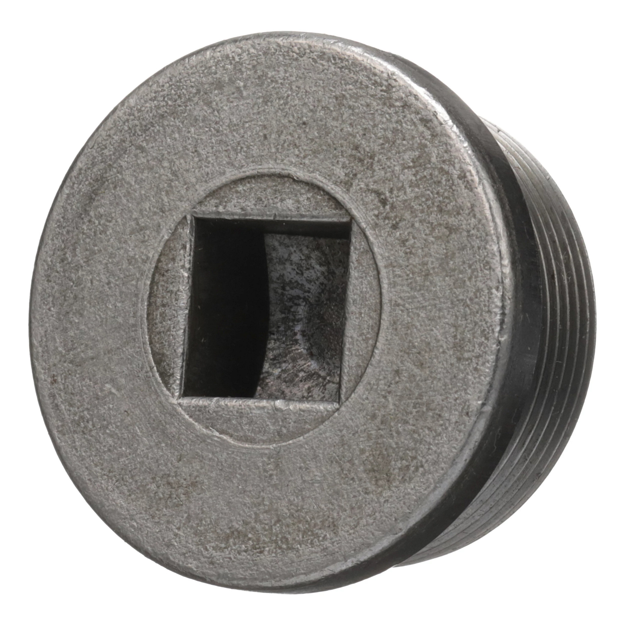 Oil Level Plug | CASECE | US | EN