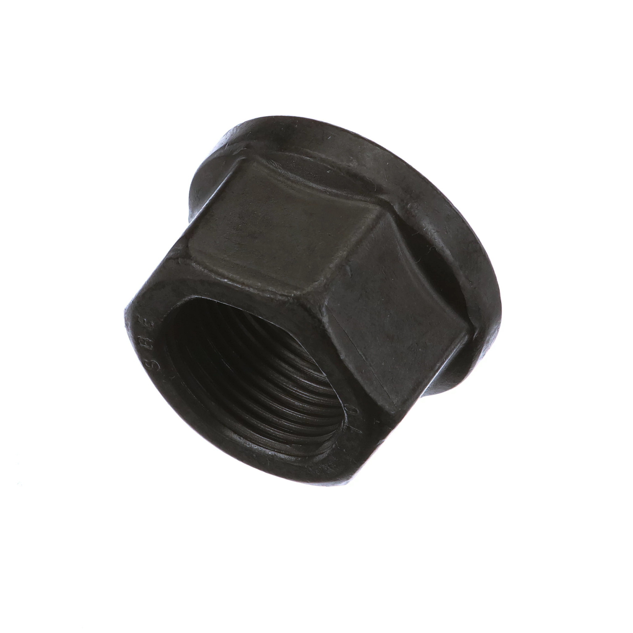 PORCA | CASECE | BR | PT