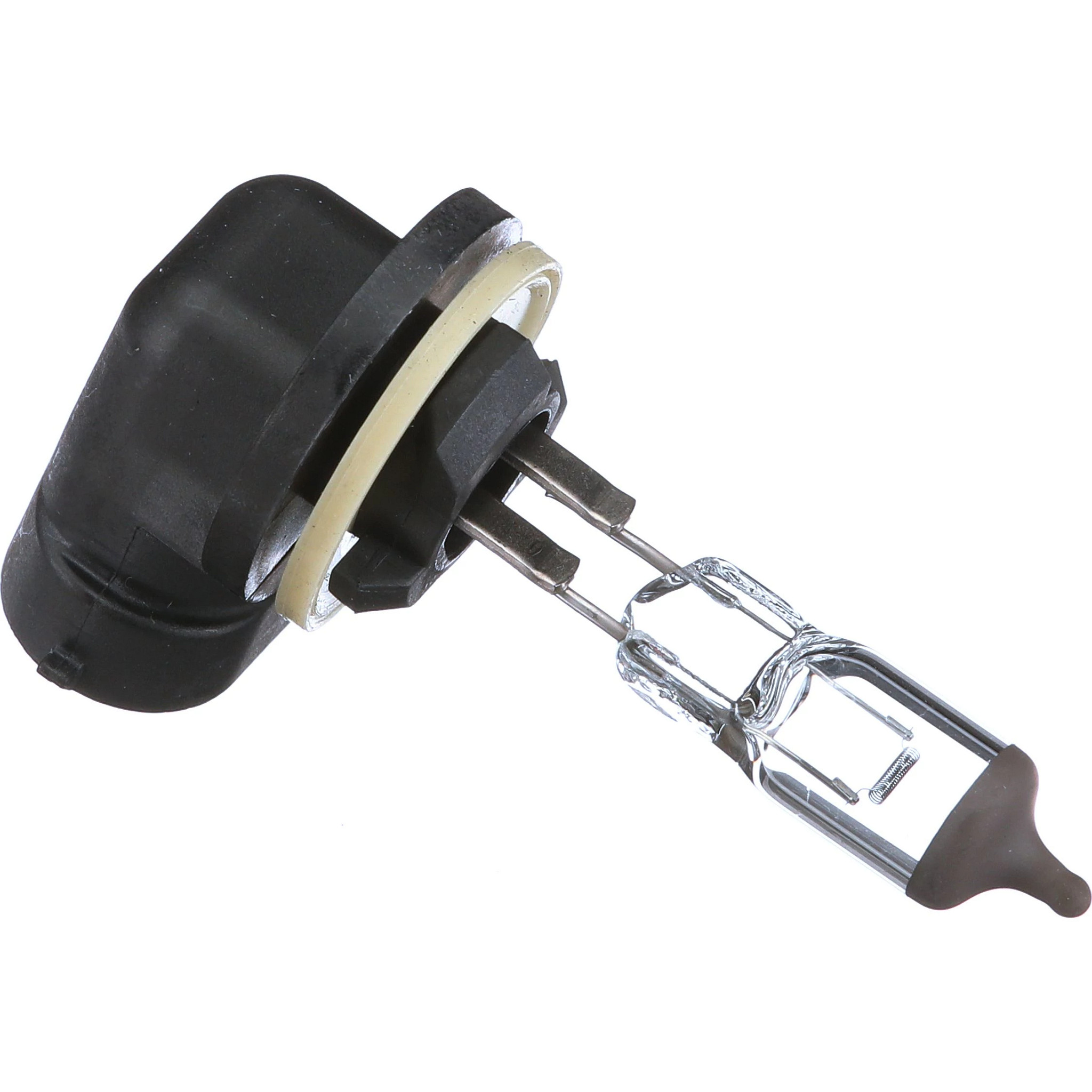 Bulb | CASEIH | US | EN