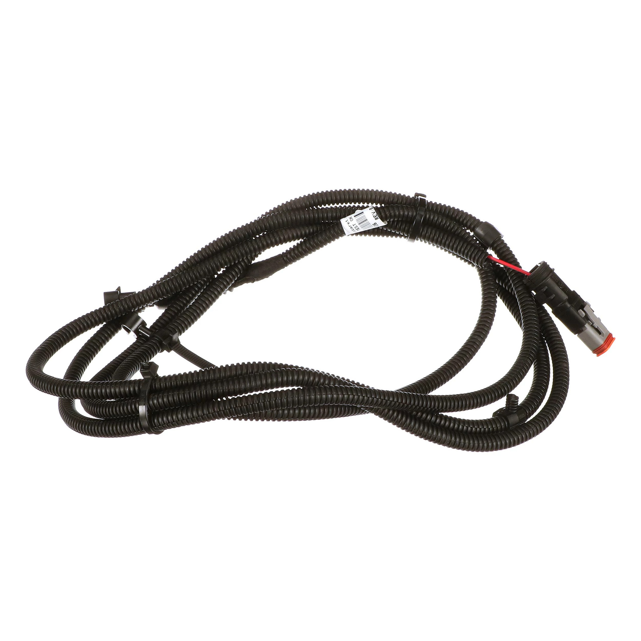 CHICOTE | CASECE | EU | PT