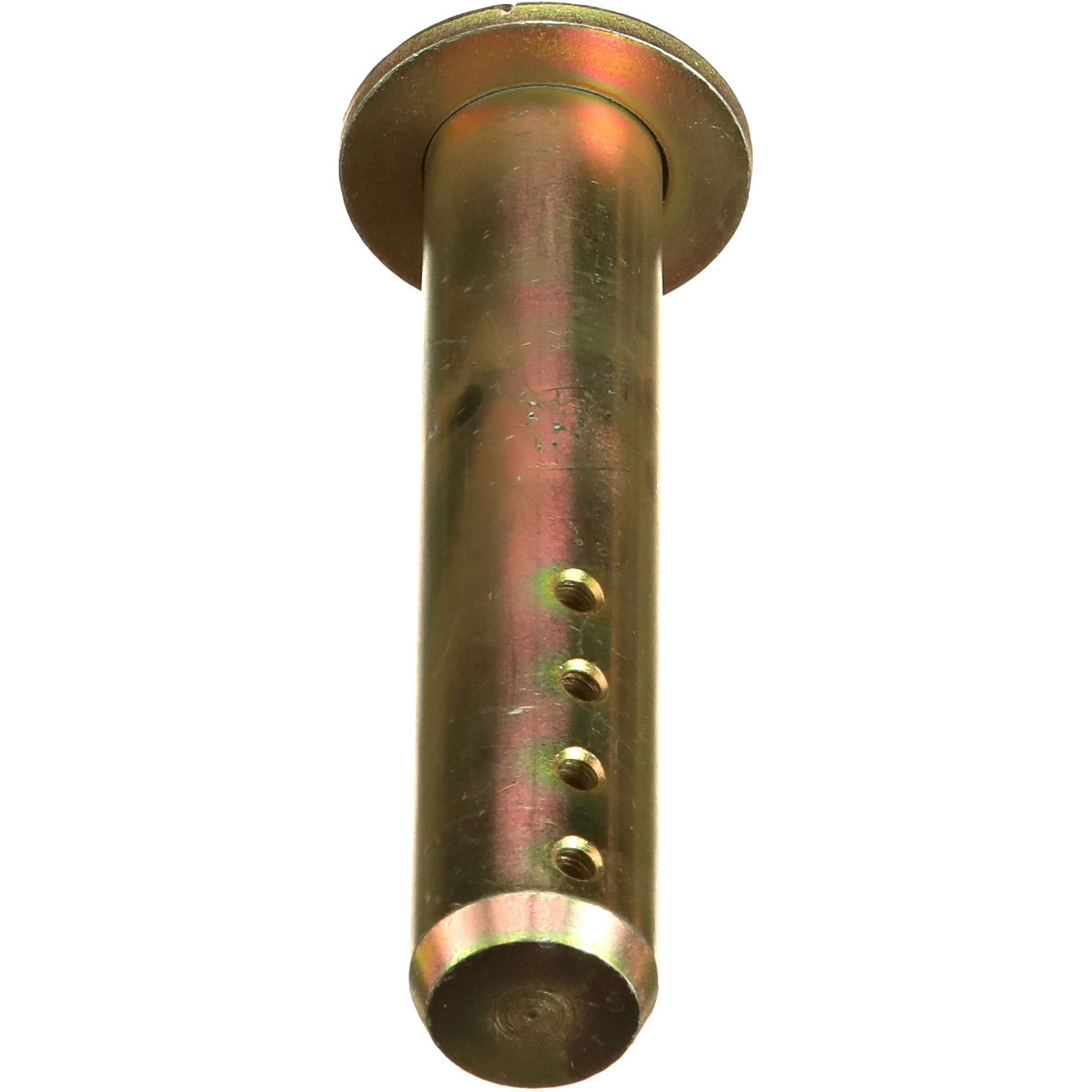 PINO | CASECE | EU | IT