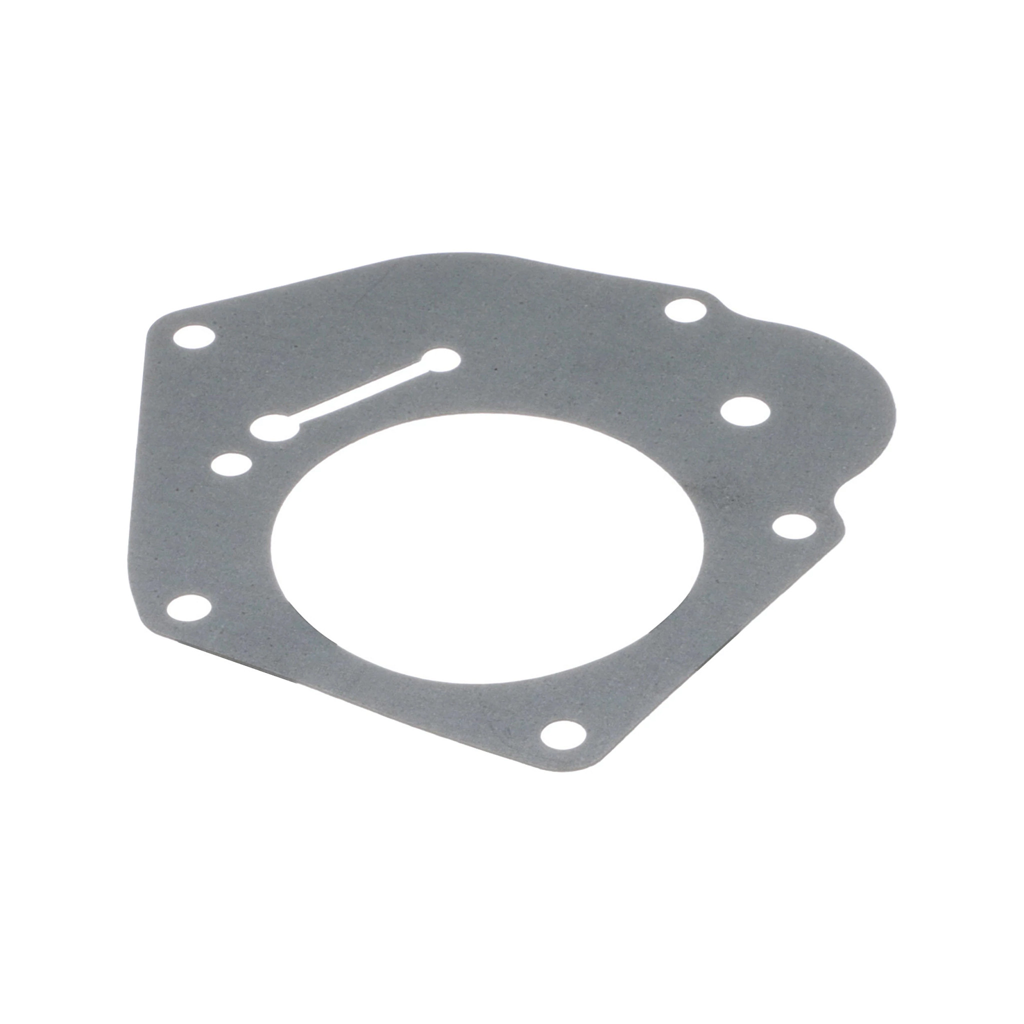 GUARNIZIONE | NEWHOLLANDAG | EU | IT