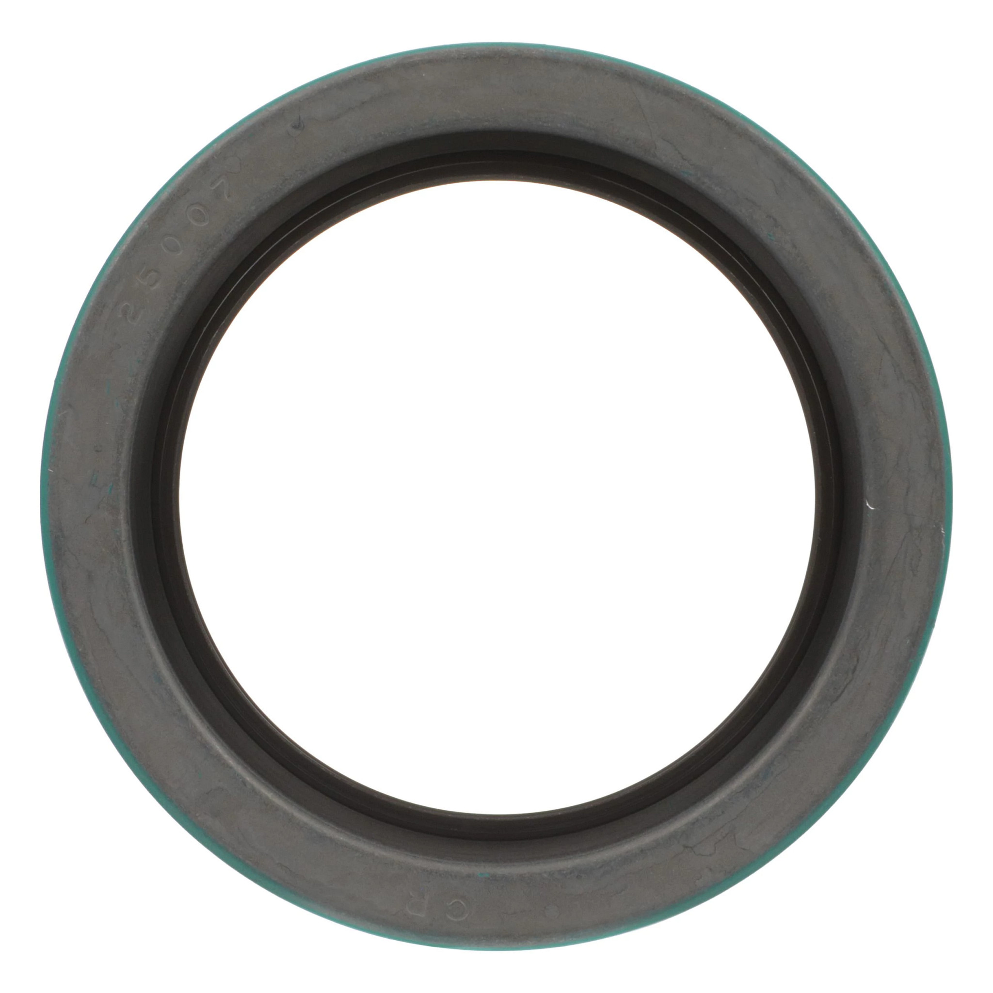 USZCZELKA OLEJOWA | CASEIH | EU | EN