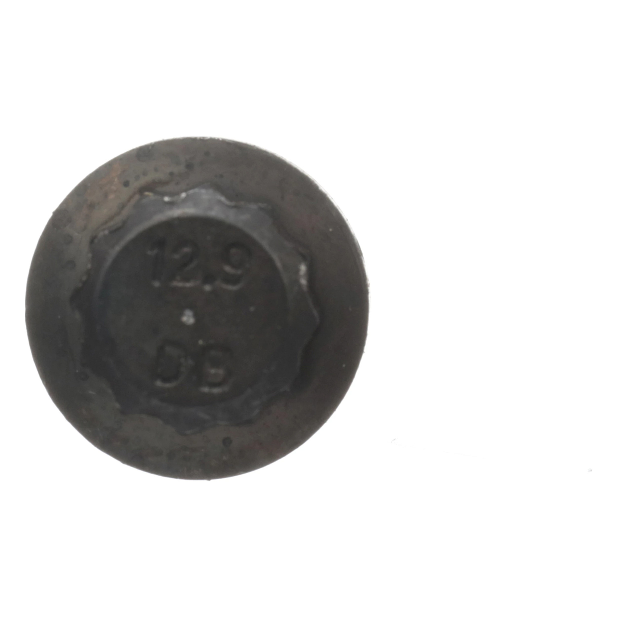 12 PT SCREW | CASECE | CA | EN