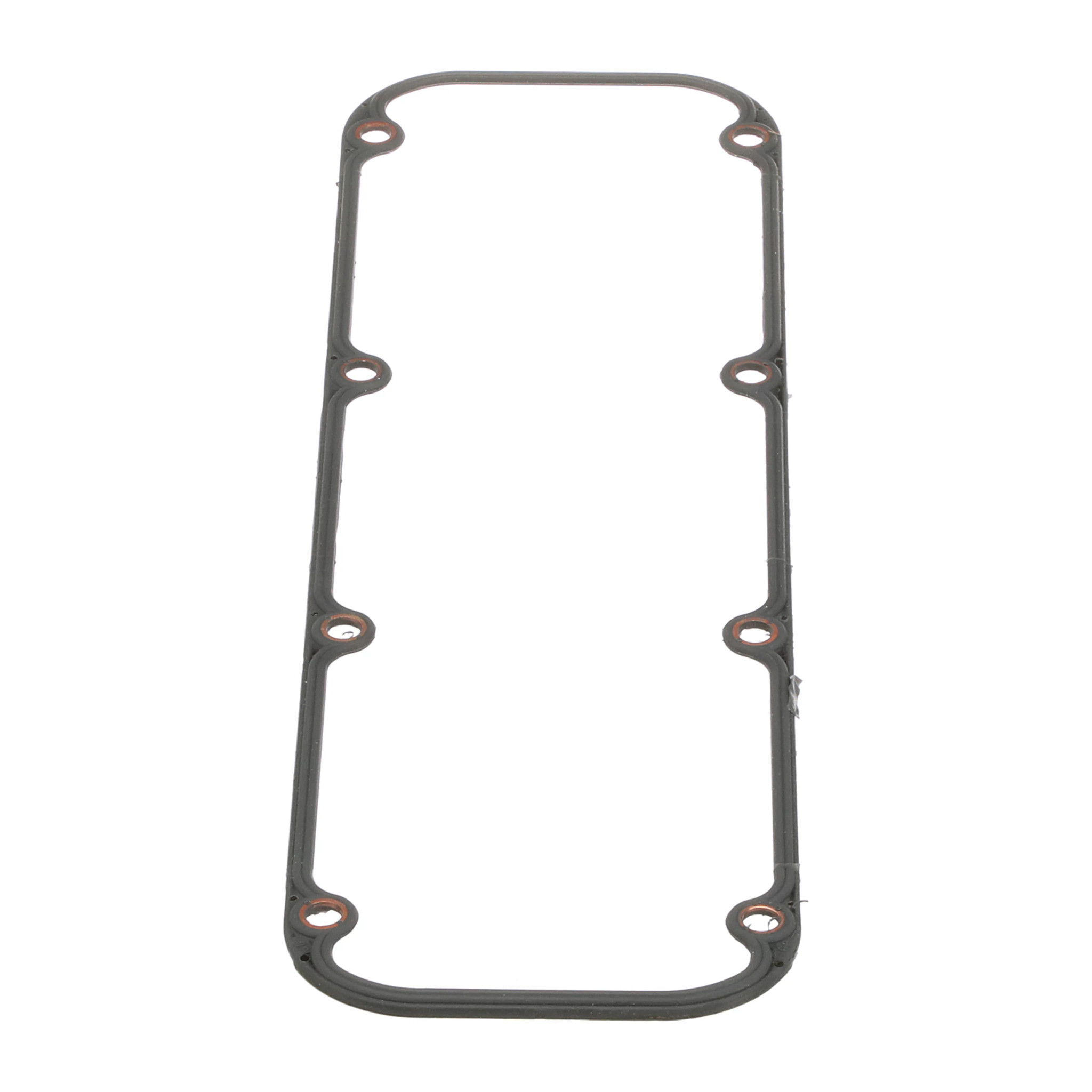 GASKET | CASECE | AMEA | EN