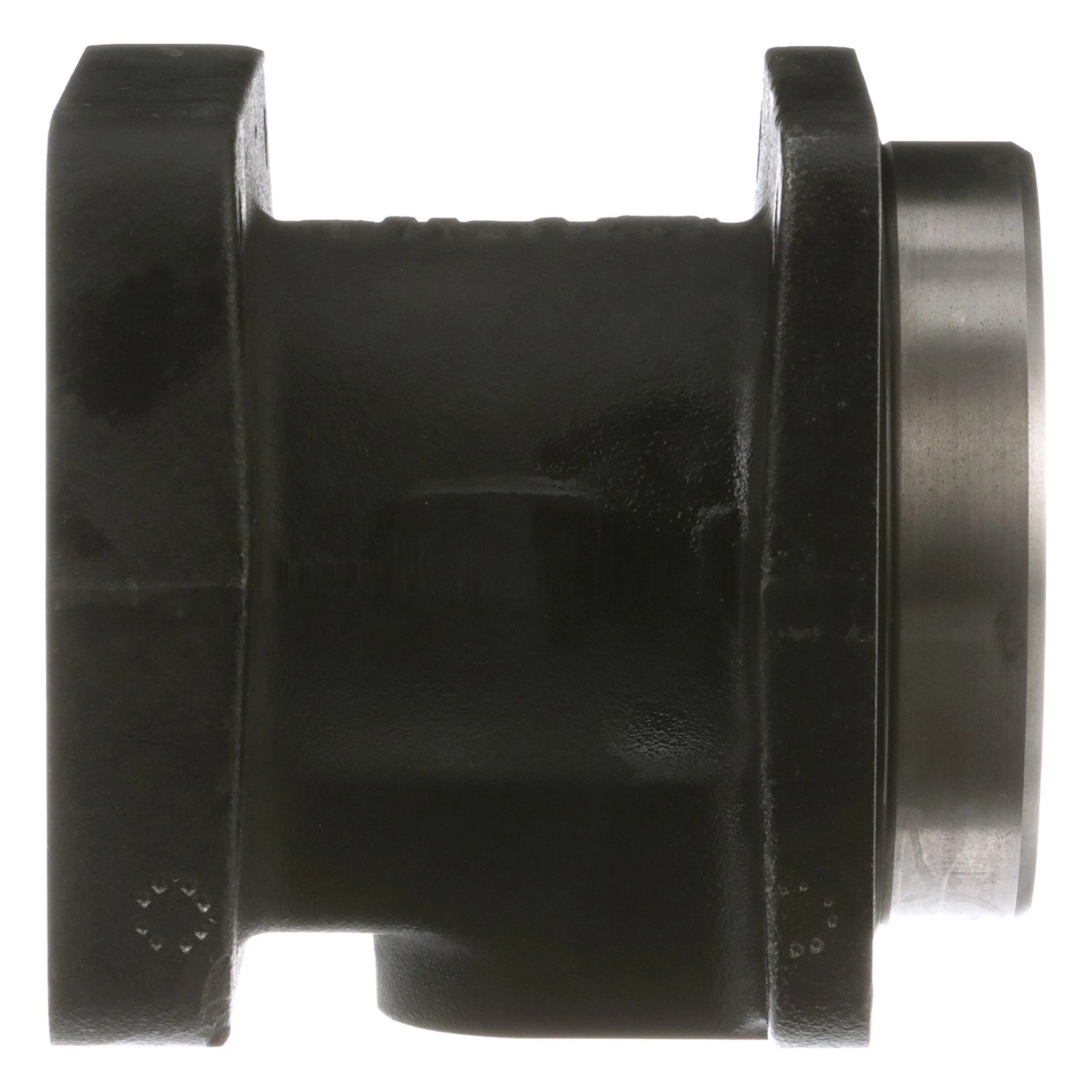 MANICOTTO DI PROTEZI | CASEIH | IT | IT