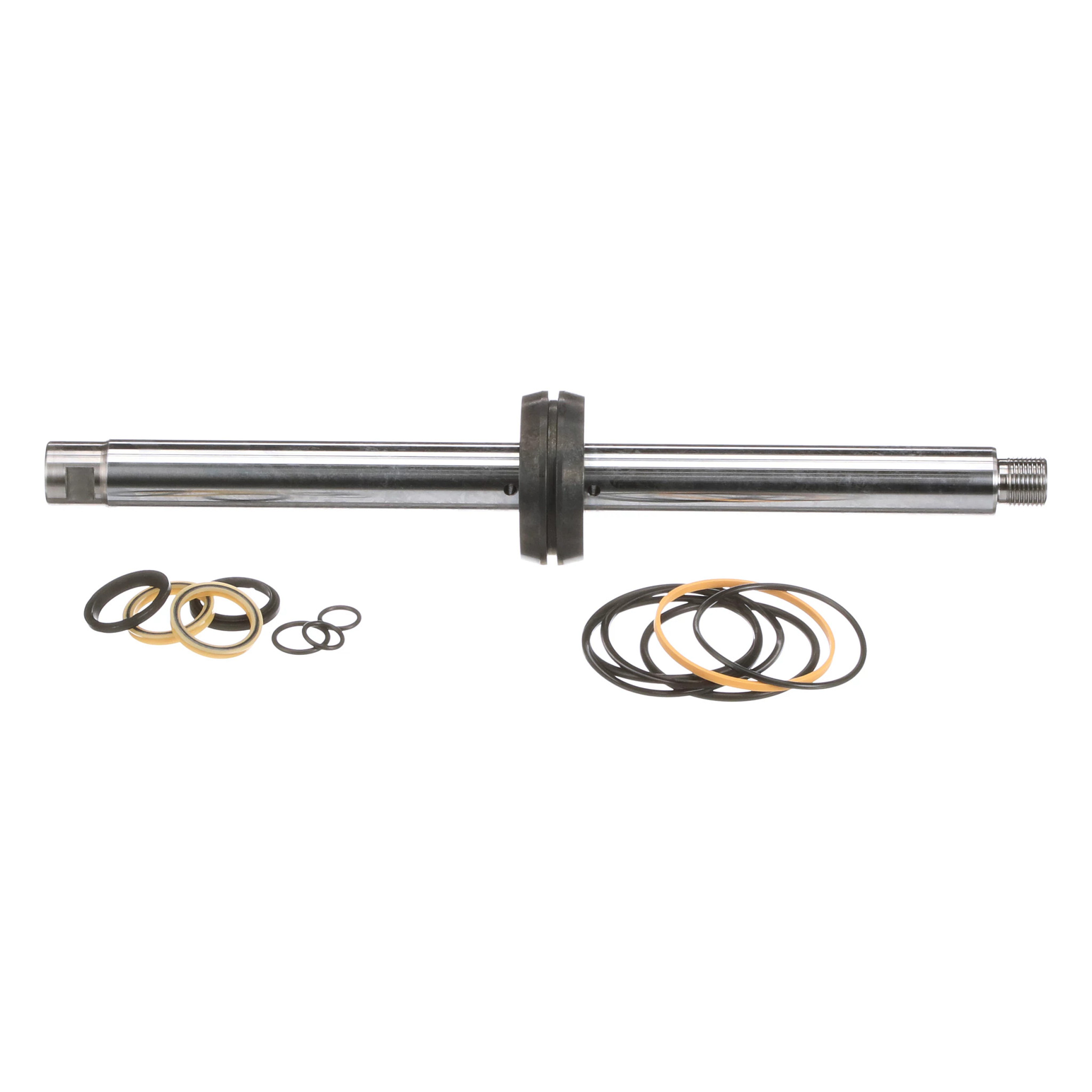 ROD | CASECE | US | EN