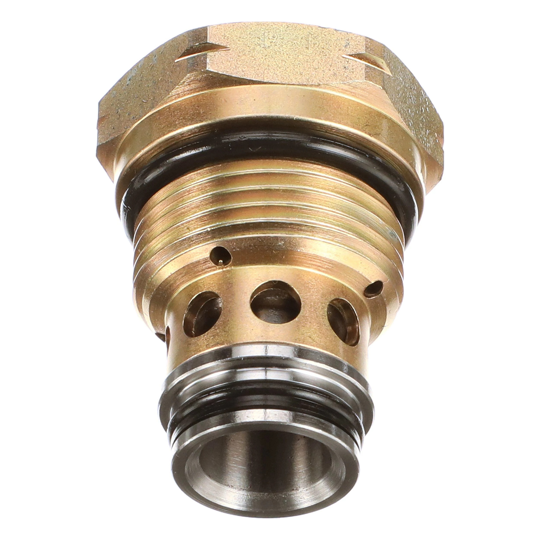 Conjunto da válvula de retenção