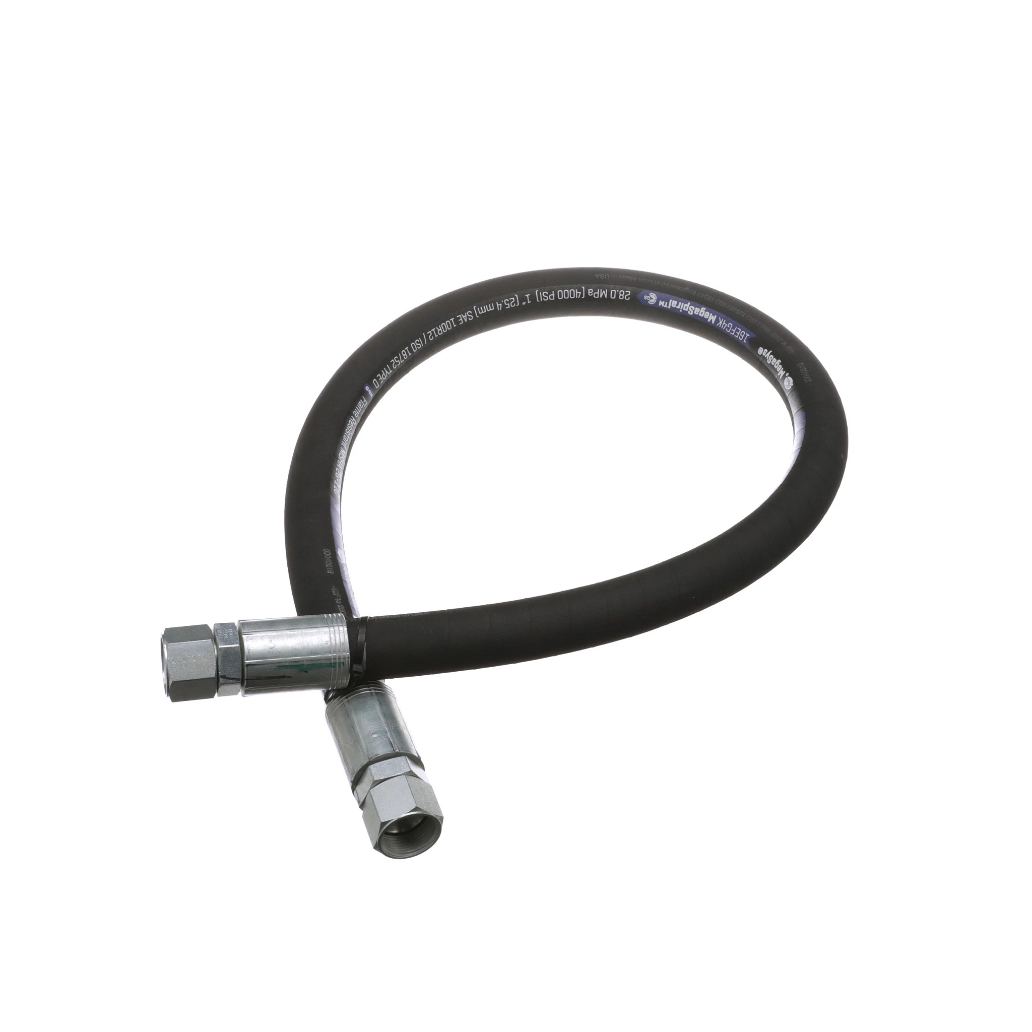 MANGUEIRA | CASEIH | BR | PT