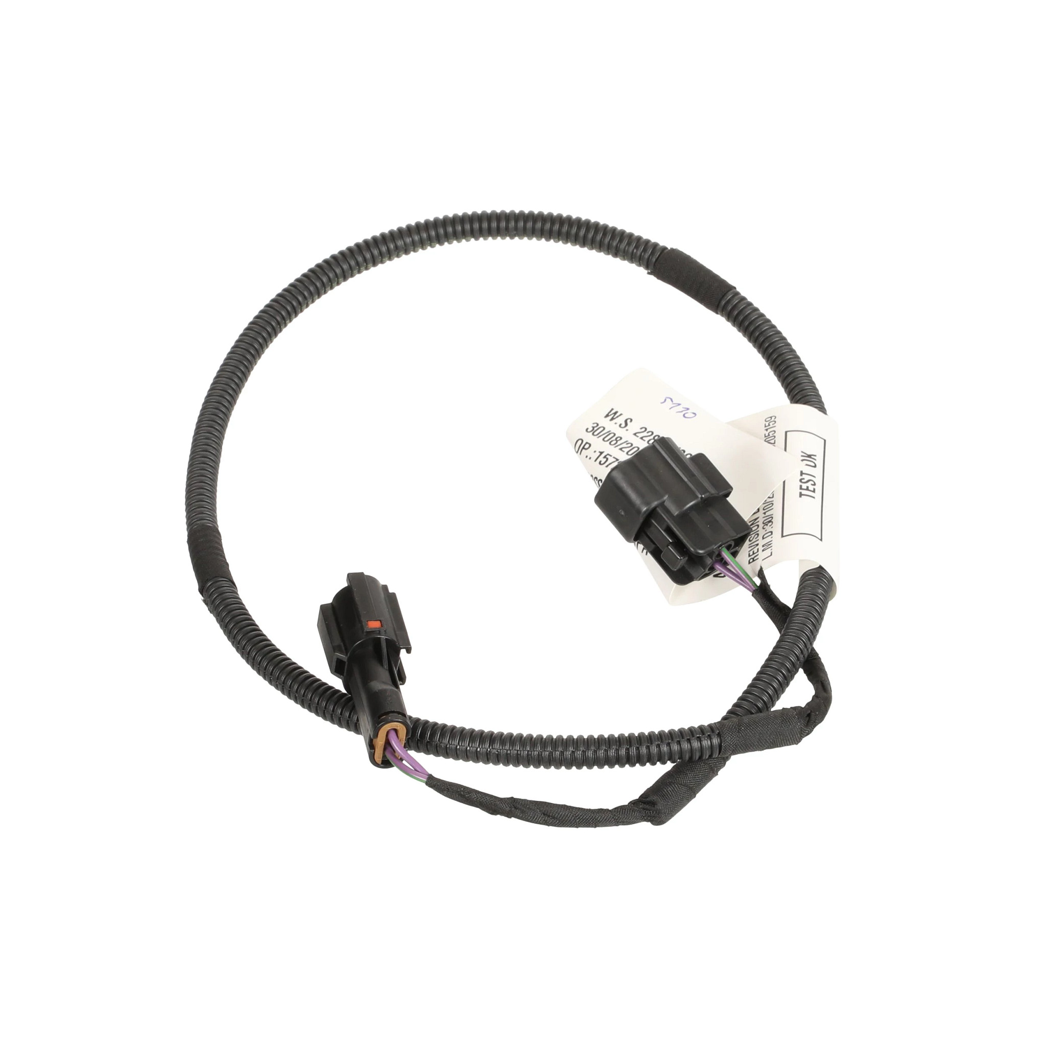 CHICOTE | CASECE | BR | PT