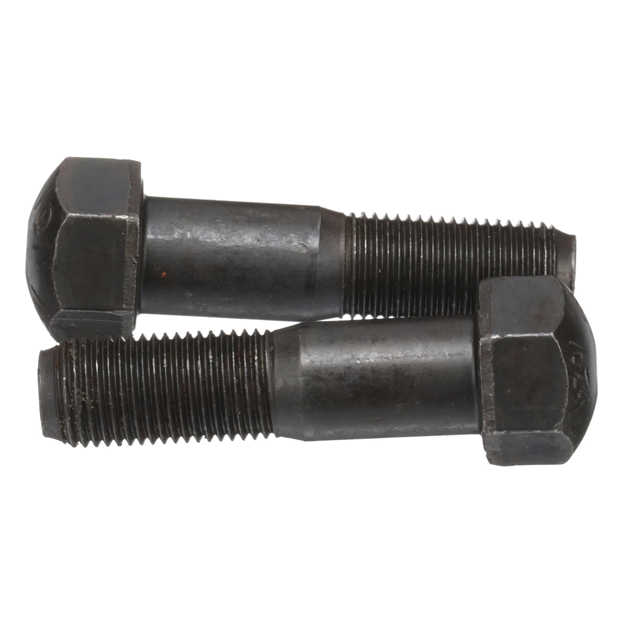 BOLT | CASECE | CA | EN