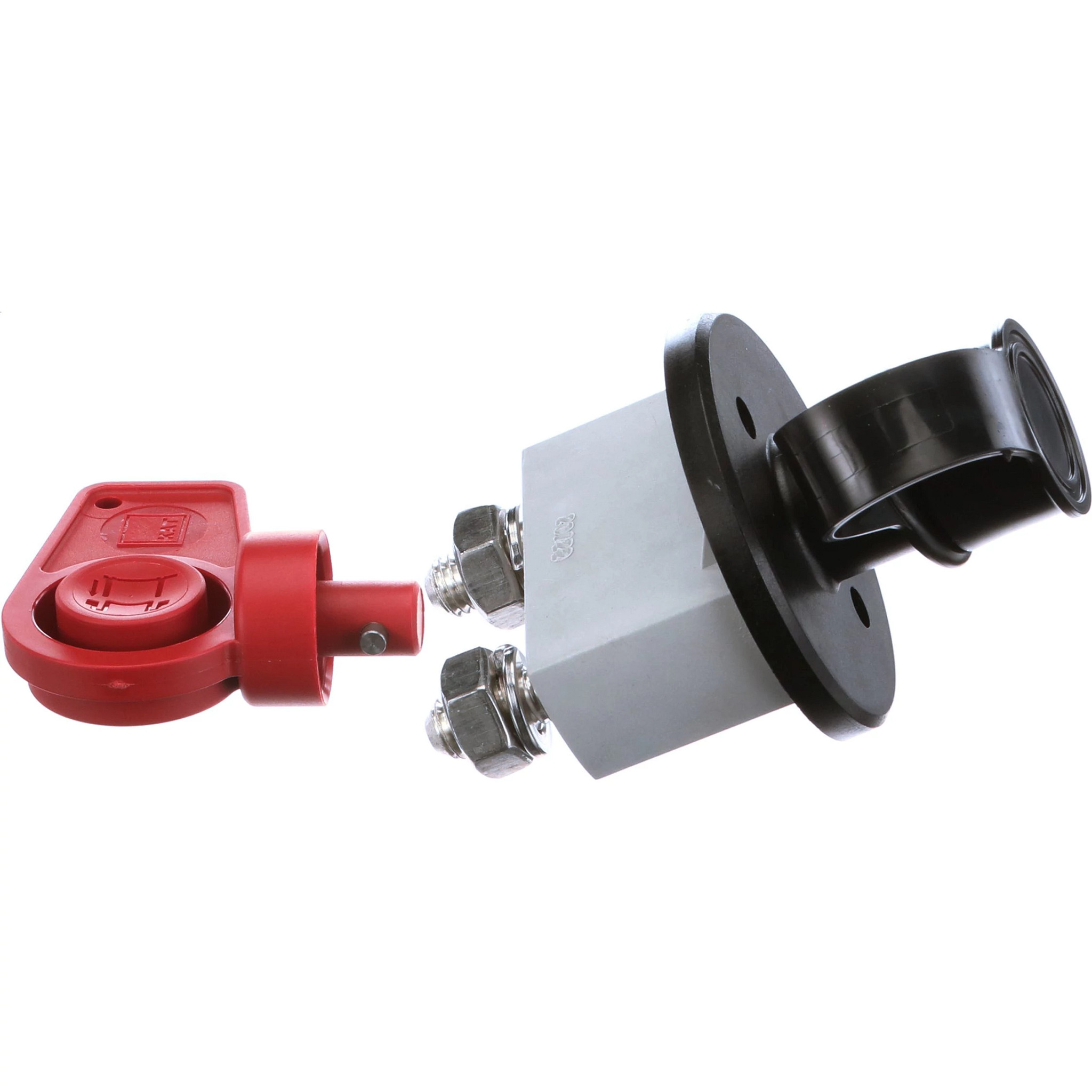 SWITCH | CASECE | US | EN